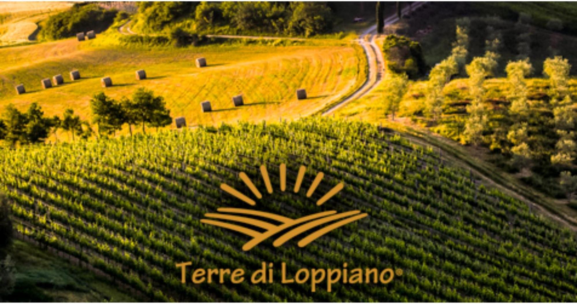 Agriturismo Fattoria Di Loppiano Regina Mundi Villa Vivajo Buitenkant foto